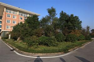 安徽滁州技师学院