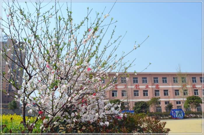 桐城海峡高级技工学校