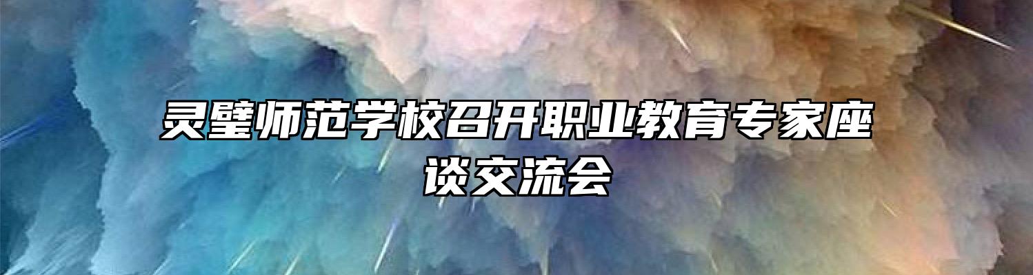 灵璧师范学校召开职业教育专家座谈交流会