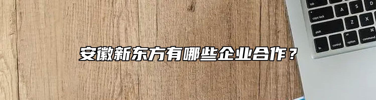安徽新东方有哪些企业合作？