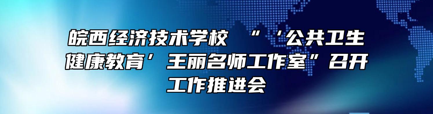 皖西经济技术学校 “‘公共卫生健康教育’王丽名师工作室”召开工作推进会