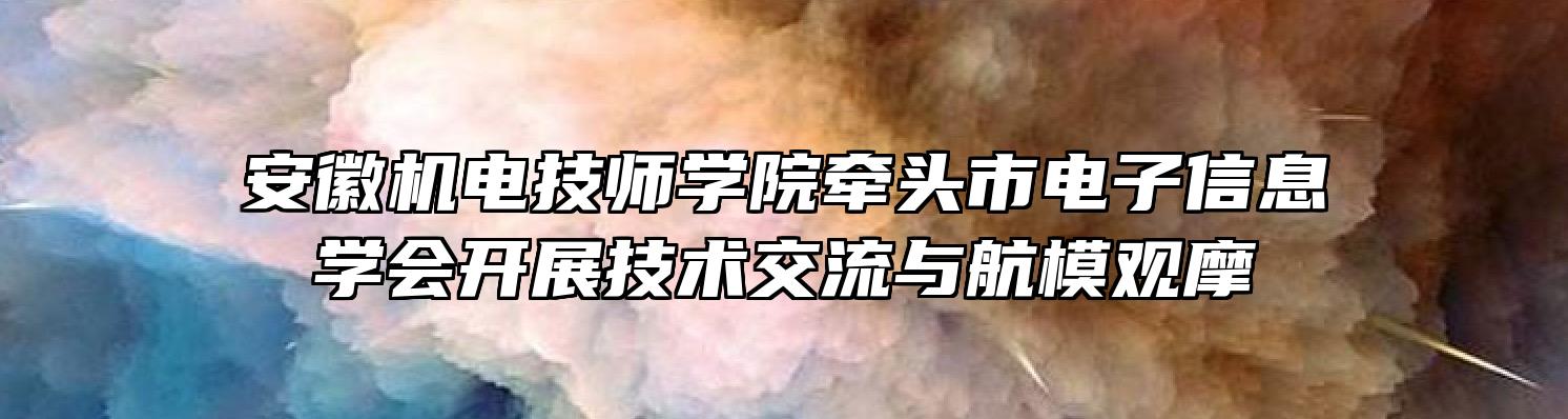 安徽机电技师学院牵头市电子信息学会开展技术交流与航模观摩