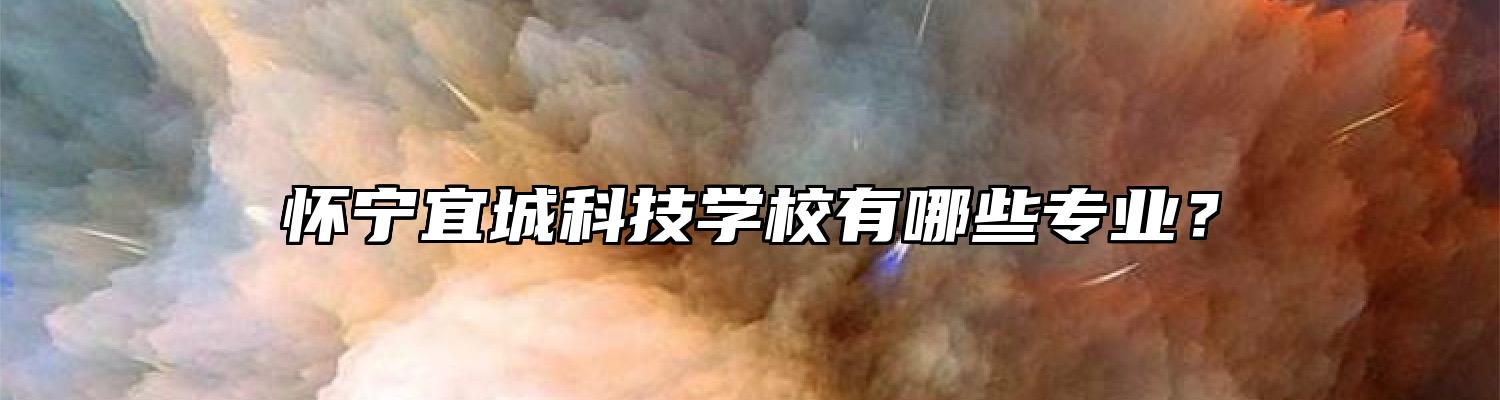 怀宁宜城科技学校有哪些专业？
