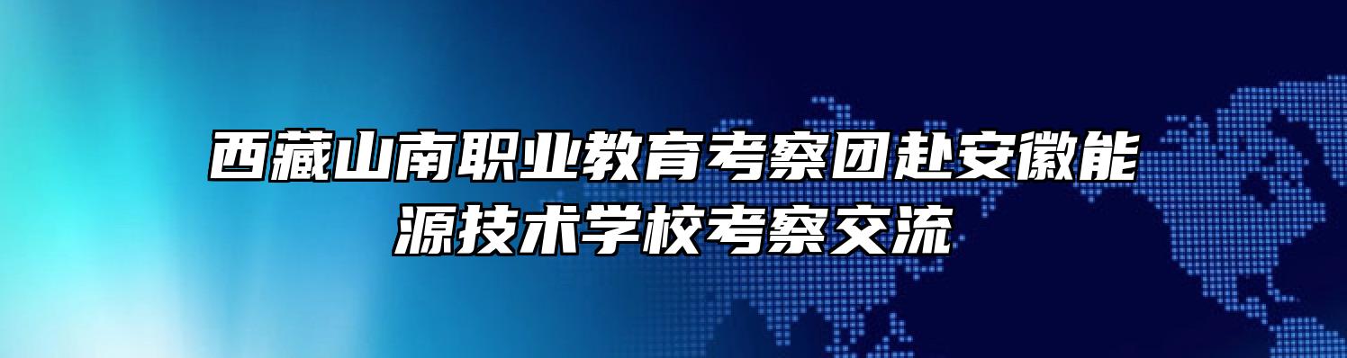 西藏山南职业教育考察团赴安徽能源技术学校考察交流