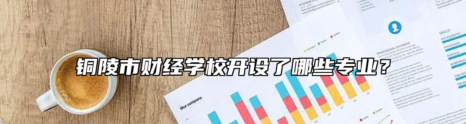 铜陵市财经学校开设了哪些专业？