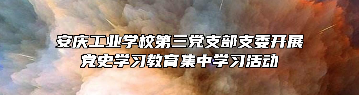 安庆工业学校第三党支部支委开展党史学习教育集中学习活动