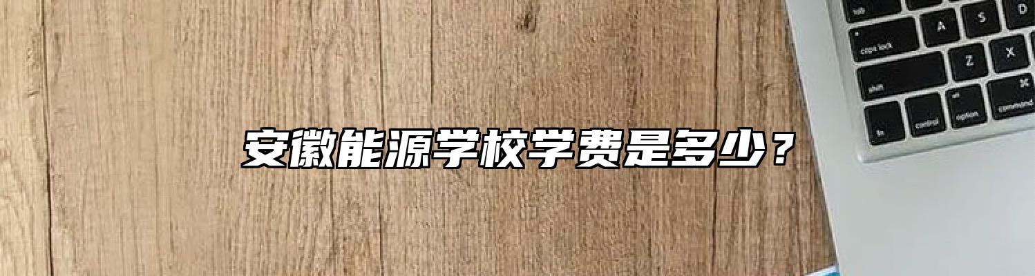 安徽能源学校学费是多少？