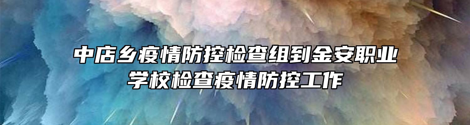 中店乡疫情防控检查组到金安职业学校检查疫情防控工作
