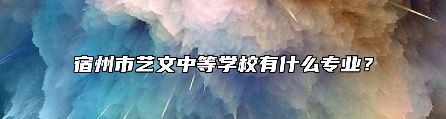 宿州市艺文中等学校有什么专业？