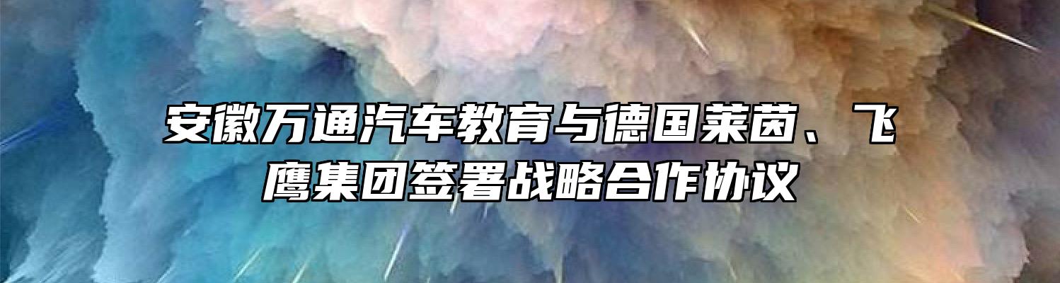 安徽万通汽车教育与德国莱茵、飞鹰集团签署战略合作协议