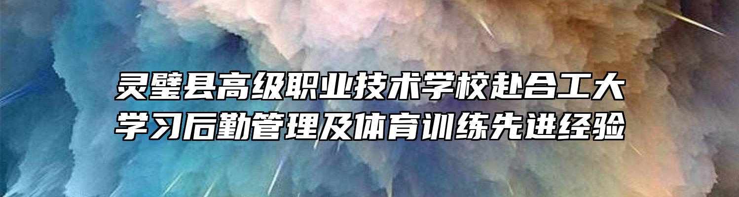 灵璧县高级职业技术学校赴合工大学习后勤管理及体育训练先进经验