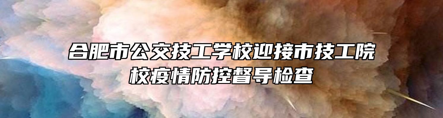 合肥市公交技工学校迎接市技工院校疫情防控督导检查