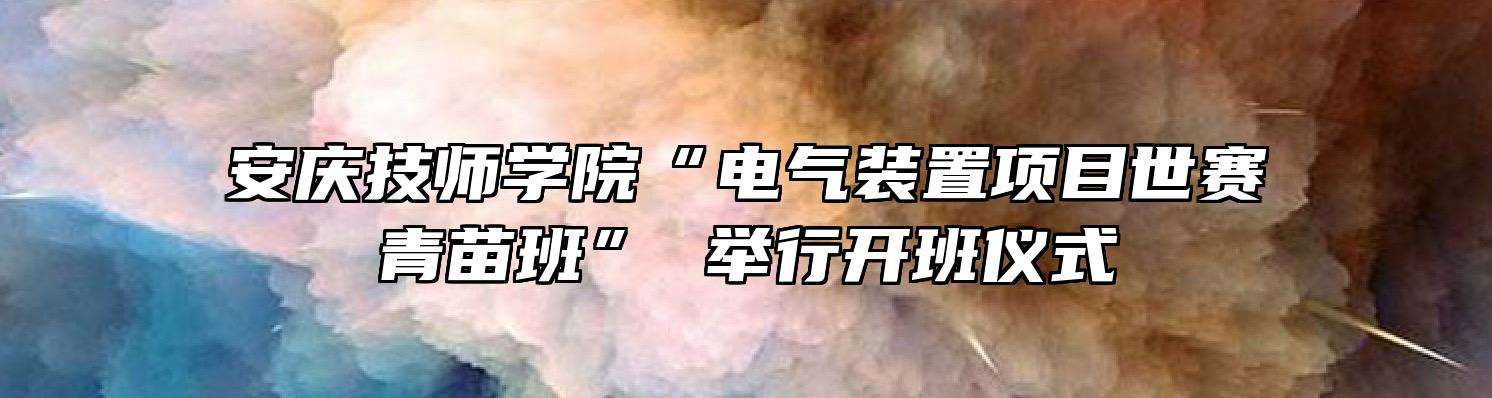 安庆技师学院“电气装置项目世赛青苗班” 举行开班仪式