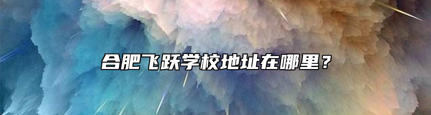 合肥飞跃学校地址在哪里？
