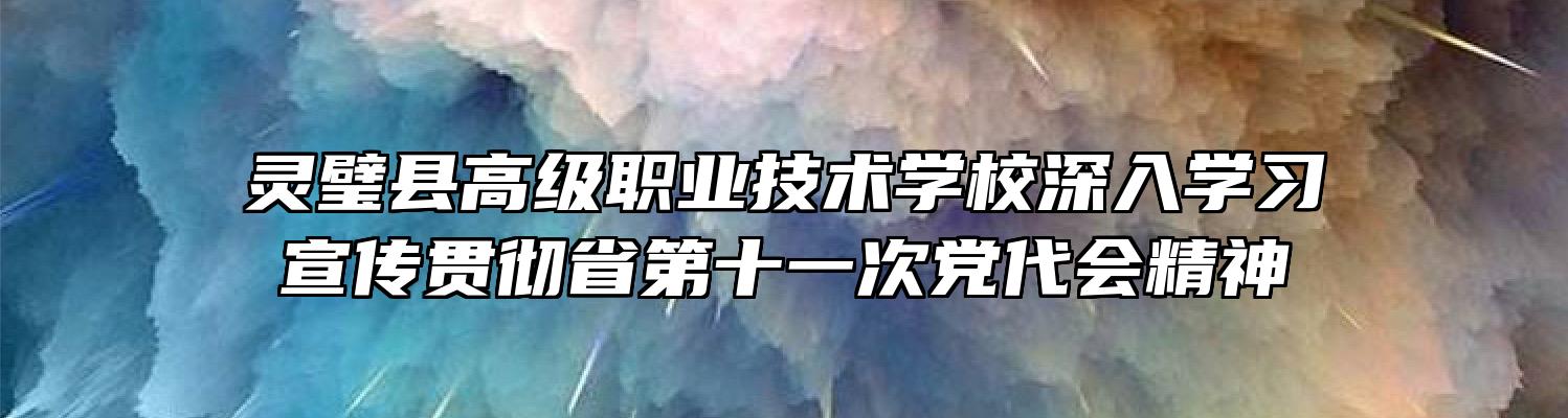 灵璧县高级职业技术学校深入学习宣传贯彻省第十一次党代会精神