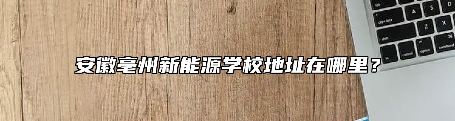 安徽亳州新能源学校地址在哪里？