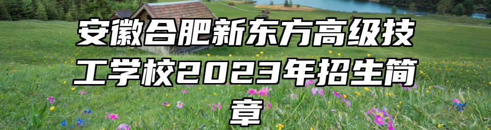 安徽合肥新东方高级技工学校2023年招生简章