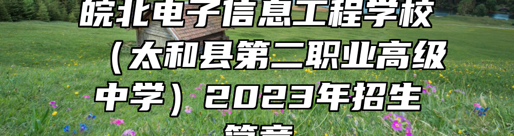 皖北电子信息工程学校（太和县第二职业高级中学）2023年招生简章