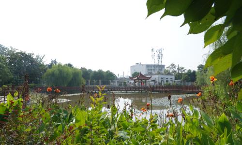 合肥市工程技术学校