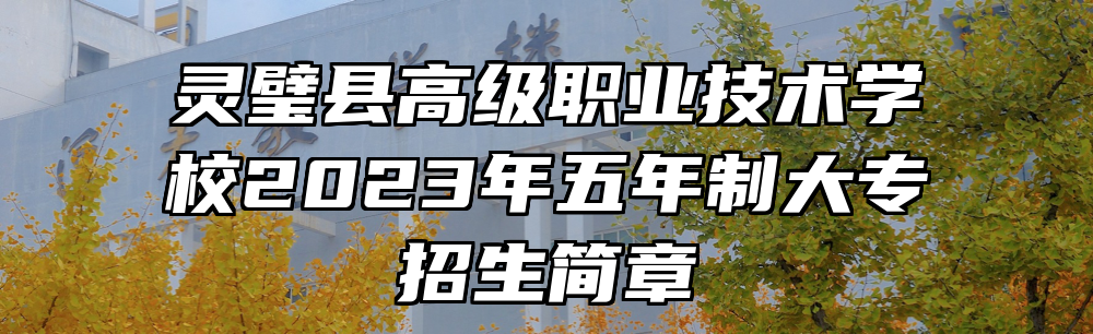 灵璧县高级职业技术学校2023年五年制大专招生简章