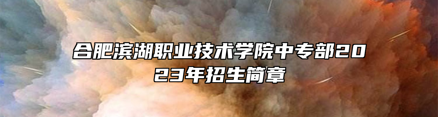 合肥滨湖职业技术学院中专部2023年招生简章