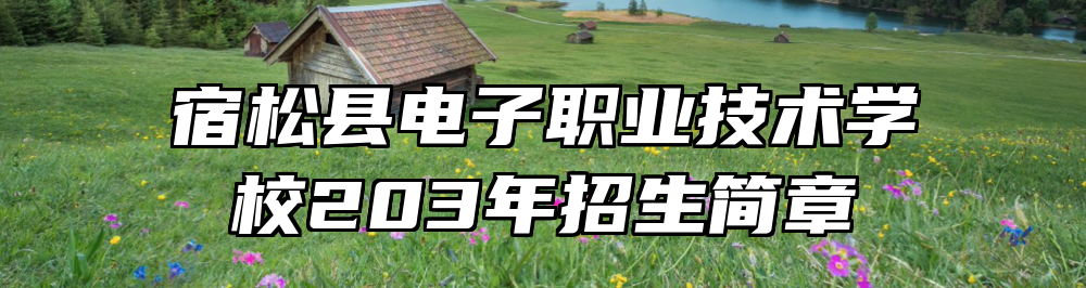 宿松县电子职业技术学校203年招生简章