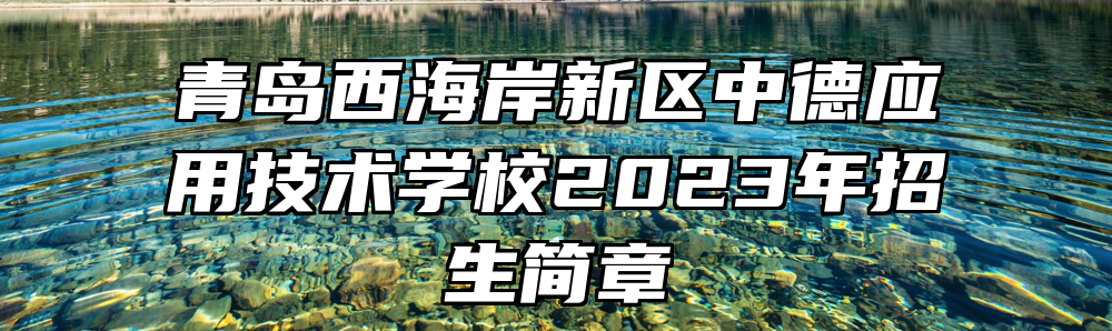 青岛西海岸新区中德应用技术学校2023年招生简章