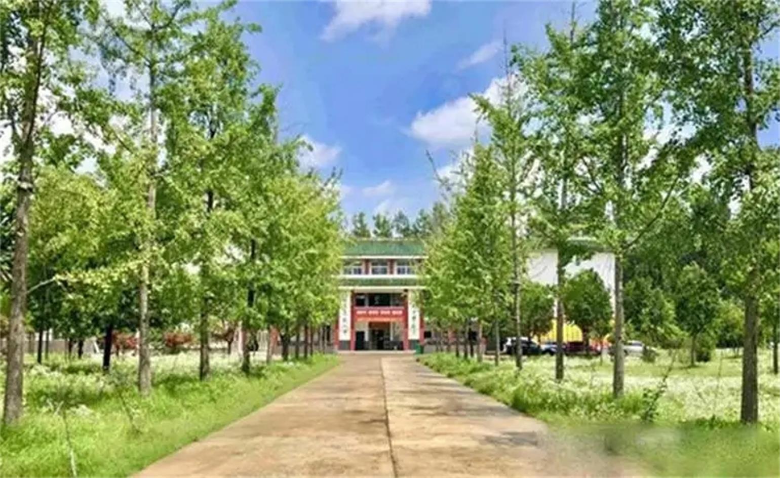 阜阳市江淮理工学校