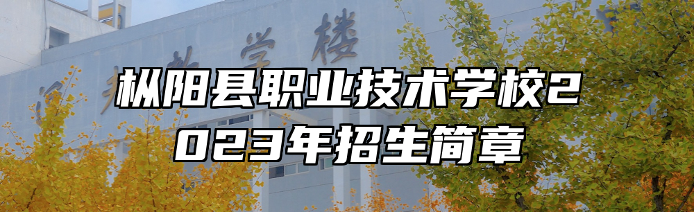 枞阳县职业技术学校2023年招生简章