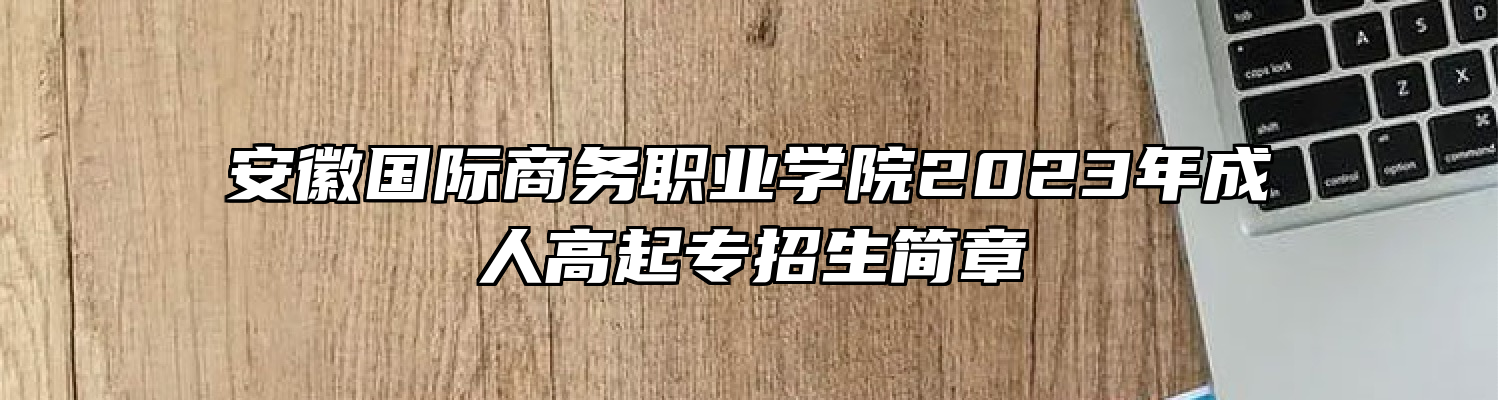 安徽国际商务职业学院2023年成人高起专招生简章