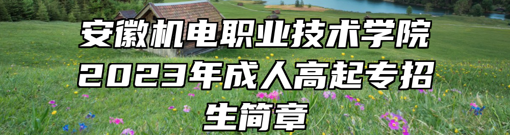 安徽机电职业技术学院2023年成人高起专招生简章
