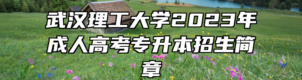 武汉理工大学2023年成人高考专升本招生简章