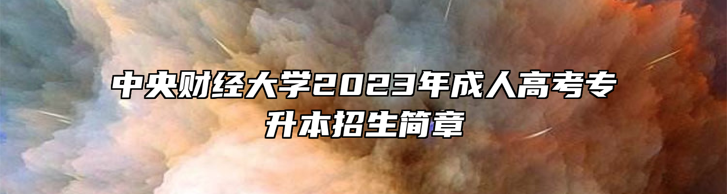中央财经大学2023年成人高考专升本招生简章