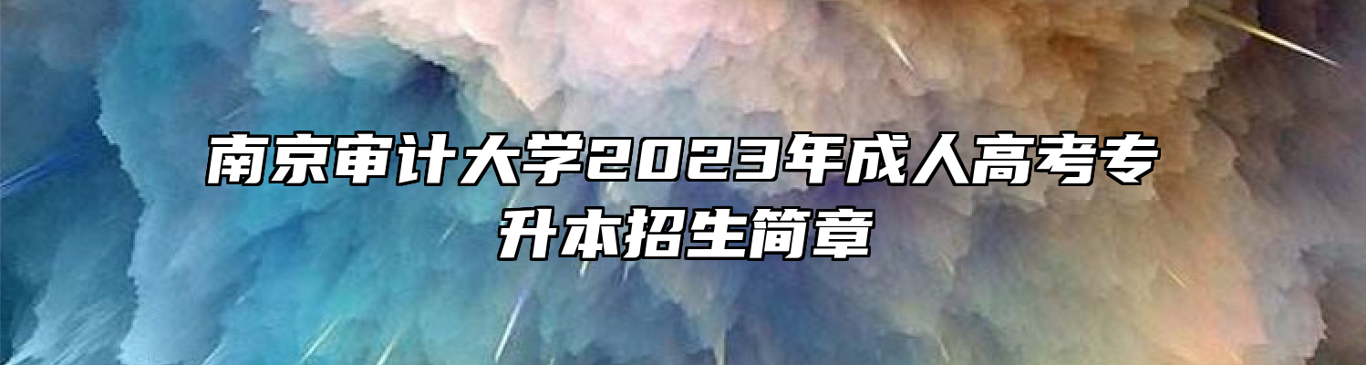 南京审计大学2023年成人高考专升本招生简章