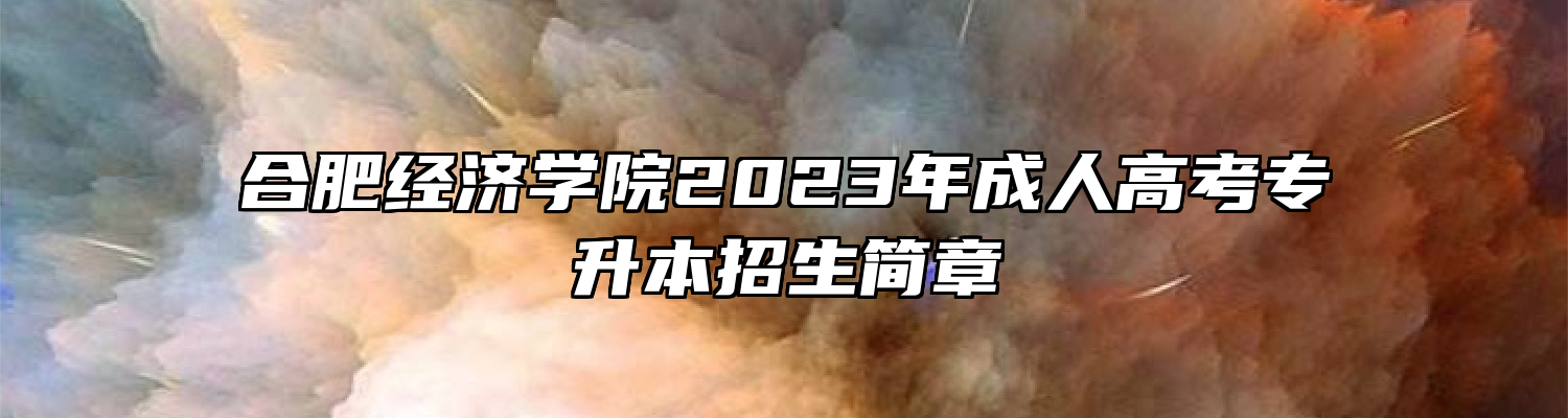 合肥经济学院2023年成人高考专升本招生简章
