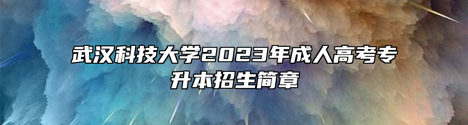 武汉科技大学2023年成人高考专升本招生简章
