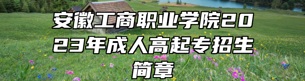 安徽工商职业学院2023年成人高起专招生简章