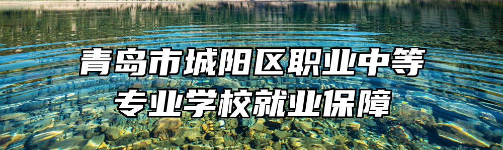 青岛市城阳区职业中等专业学校就业保障