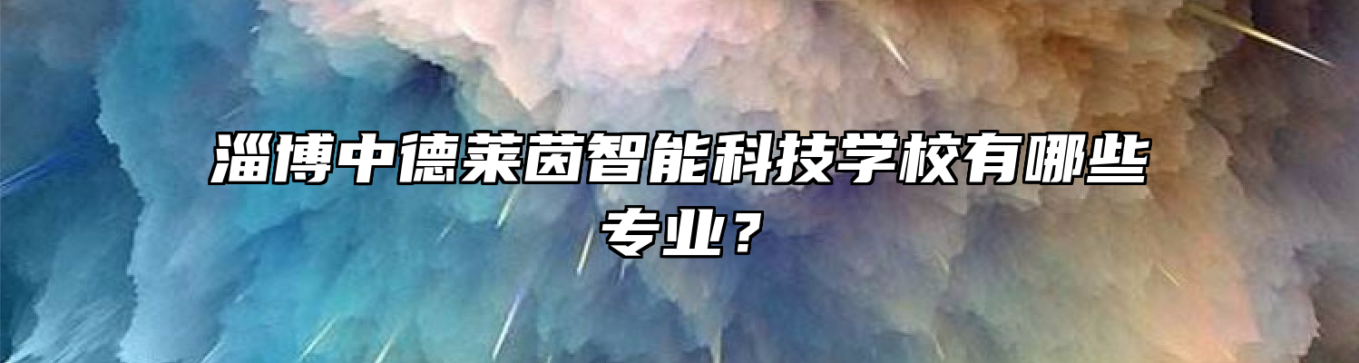 淄博中德莱茵智能科技学校有哪些专业？