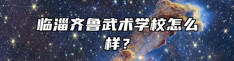 临淄齐鲁武术学校怎么样？
