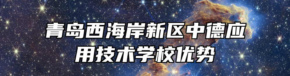 青岛西海岸新区中德应用技术学校优势