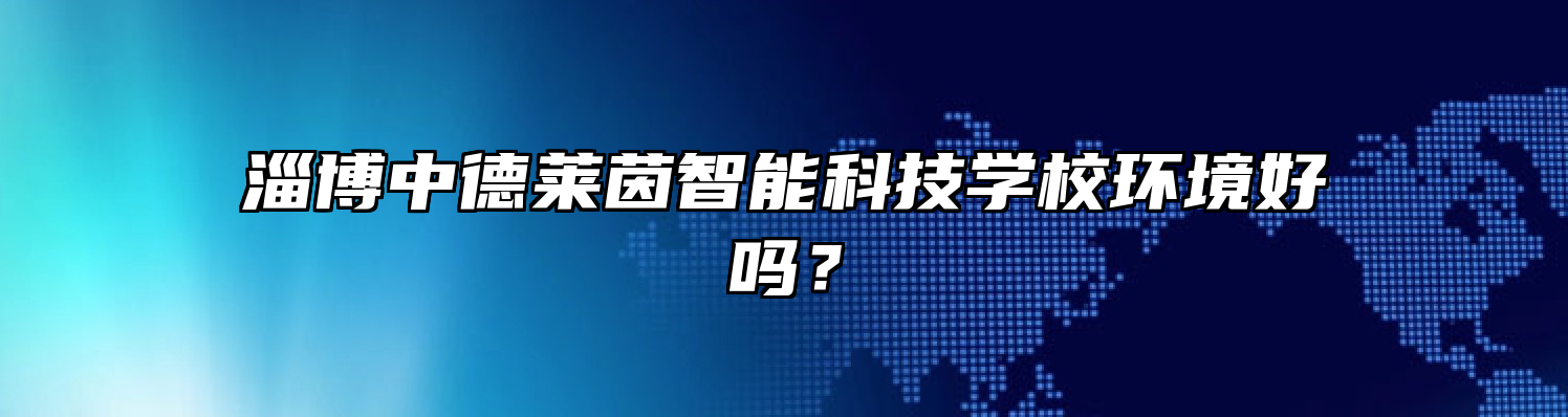 淄博中德莱茵智能科技学校环境好吗？