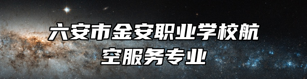 六安市金安职业学校航空服务专业