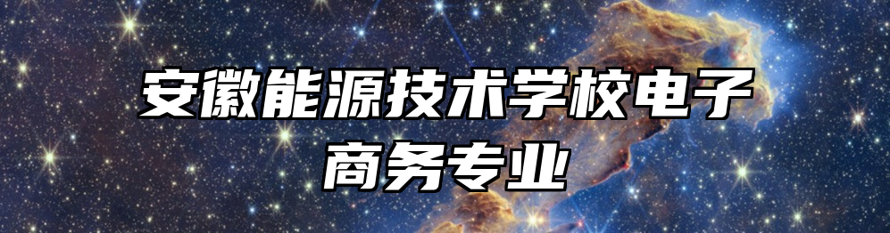 安徽能源技术学校电子商务专业