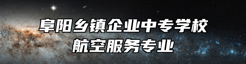 阜阳乡镇企业中专学校航空服务专业