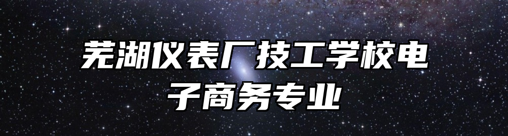 芜湖仪表厂技工学校电子商务专业
