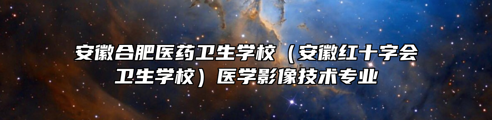 安徽合肥医药卫生学校（安徽红十字会卫生学校）医学影像技术专业