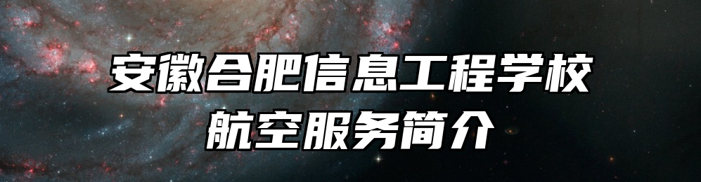 安徽合肥信息工程学校航空服务简介