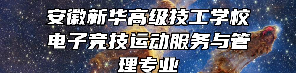 安徽新华高级技工学校电子竞技运动服务与管理专业