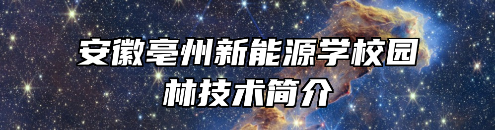 安徽亳州新能源学校园林技术简介